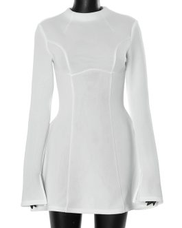 Sculpted Elegance Long Sleeve slim fit waist Mini Party Wear Dress