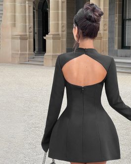 Sculpted Elegance Long Sleeve slim fit waist Mini Party Wear Dress