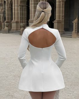 Sculpted Elegance Long Sleeve slim fit waist Mini Party Wear Dress