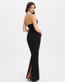 Hanging neck and lapel long sexy V-neck slim fit backless formal Elegant Party Wear dress