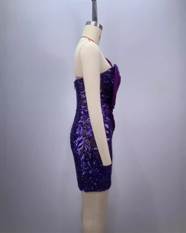Fashionable backless one shoulder design strapless mesh sequin tight purple mini dress.