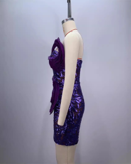 Fashionable backless one shoulder design strapless mesh sequin tight purple mini dress.